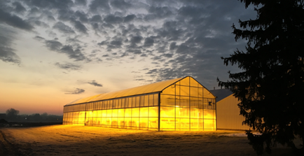 Greenhouse outside